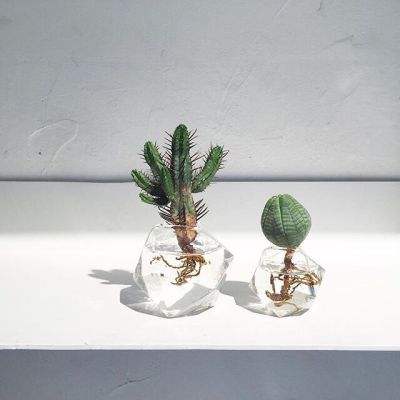 乐鱼平台app下载官网截图